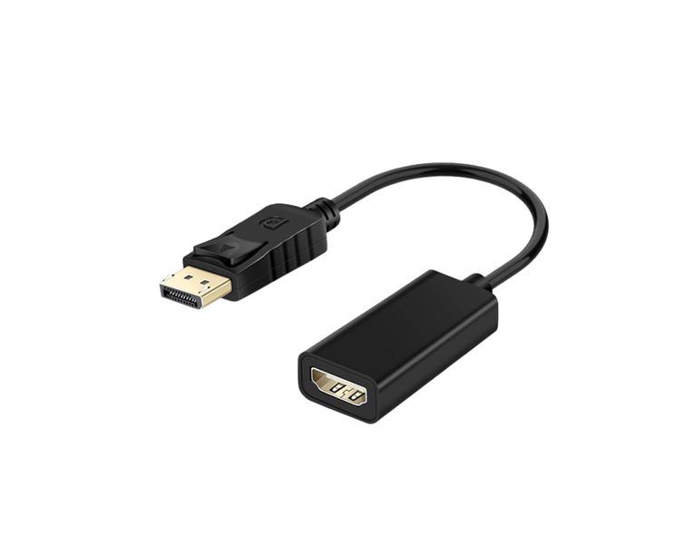 Display Port Male to HDMI Female Adapter