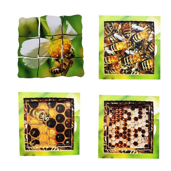 Tray Puzzles - Life Cycles Bee