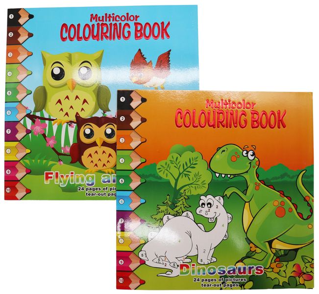 24 Page Flying Animals and 24 Page Dinosaurs Multi Colouring Book Combo