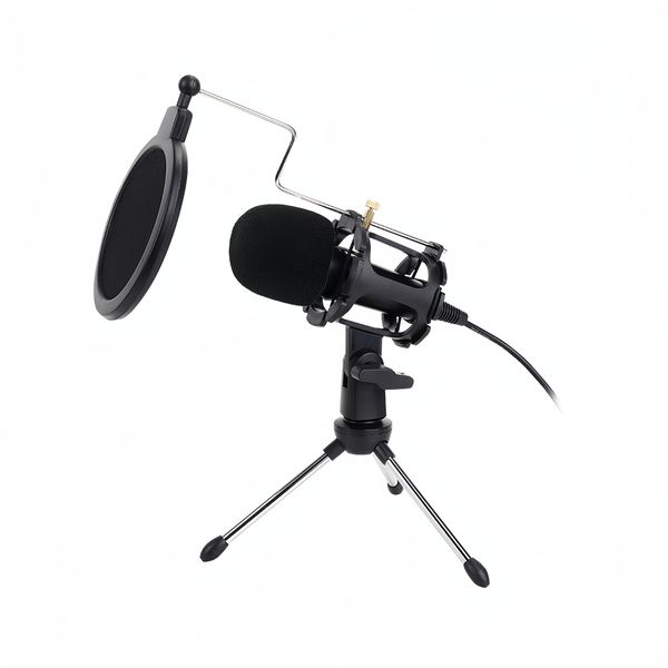 A wired microphone package, Capacitive recording microphone with a holder