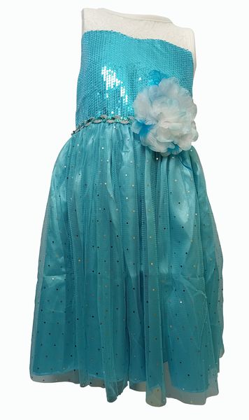 Elsa Rose Princess Dress