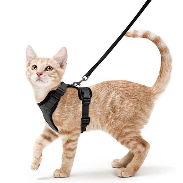 Cat Harness and Leash - Walking Escape Proof Vest for Medium Small Pet