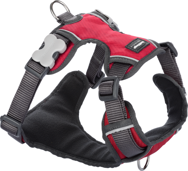 Red Dingo Padded Harness - Extra Small Red