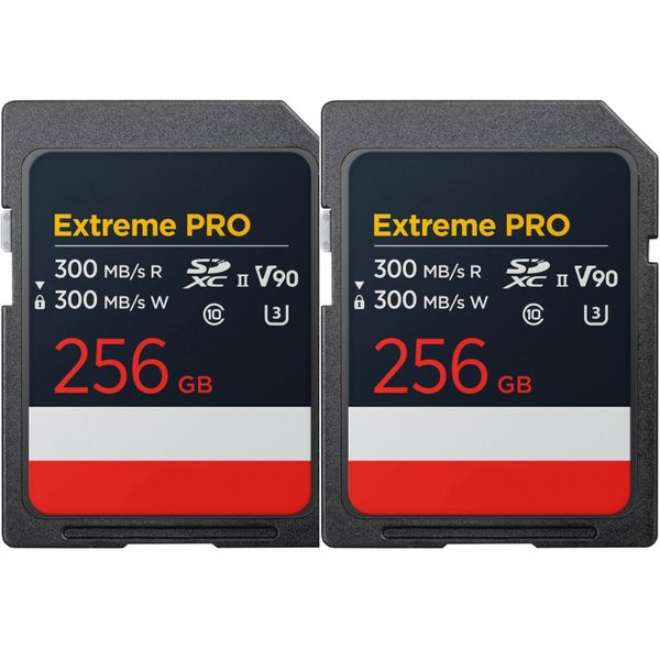 2x 256GB SDXC Cards 100/45MB/s for Photo &amp; Video