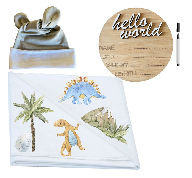 Swaddle, Newborn Beanie &amp; Birth Announcement -Dinosaurs with egg