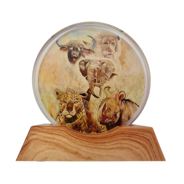 3D Creative Lamp - The Big 5 Illuminated Art Light