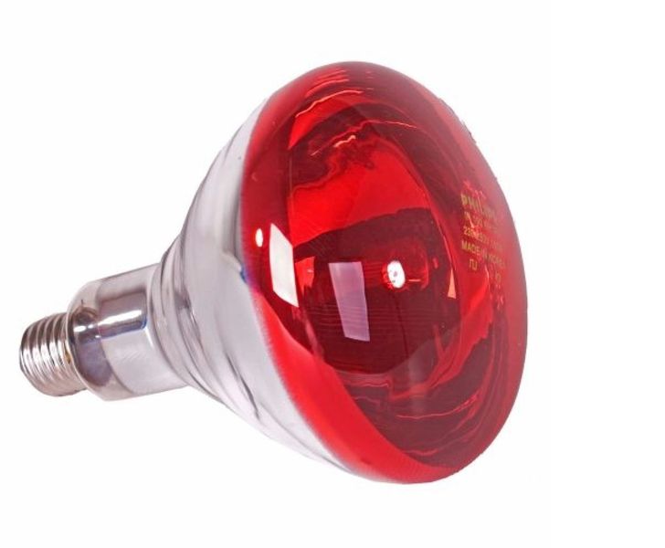 250W Heating Red Light - Smooth