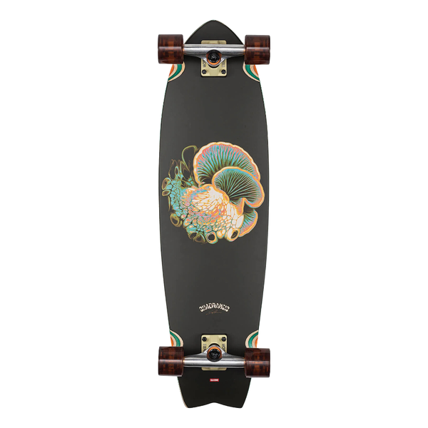 Globe - Chromantic Bio Morph 33 Inch Cruiser Complete Skateboard - Black