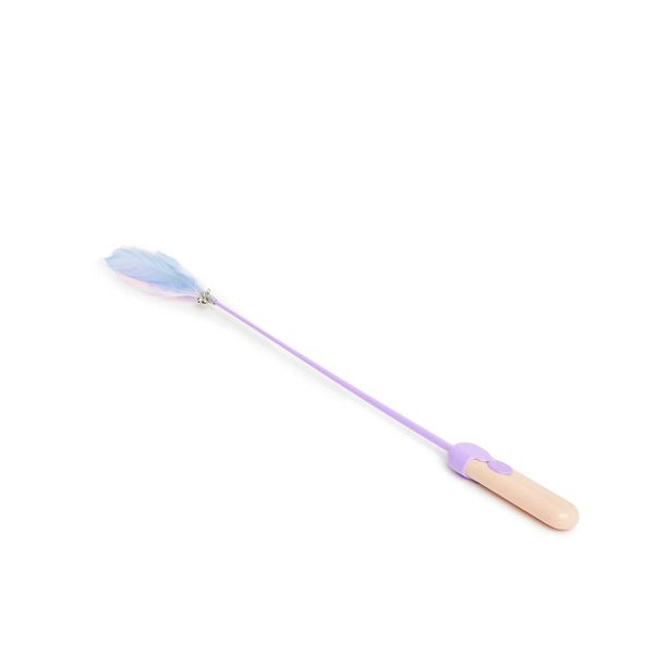 Wiggle Laser Feather Teasing stick toy