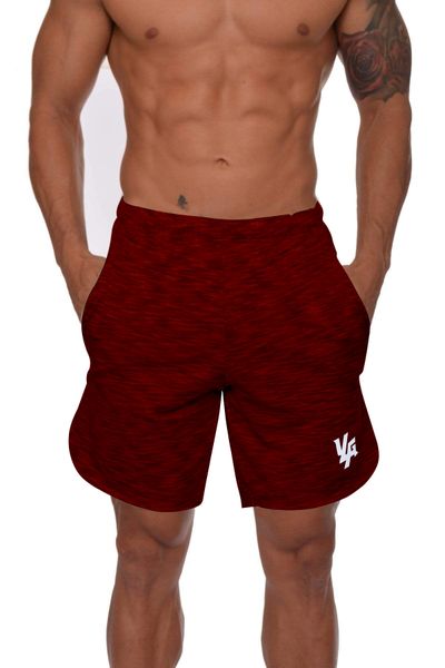 Youngla logo