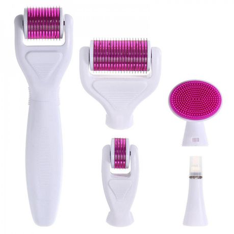6 in 1 Derma Roller Kit for Hair, Face and Body | Buy Online in South  Africa 