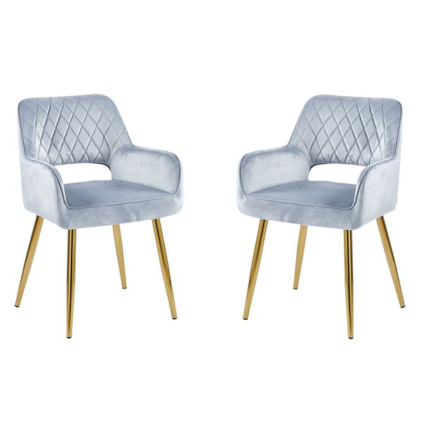 Set of 2 Modern and Stylish Velvet Dining Chairs