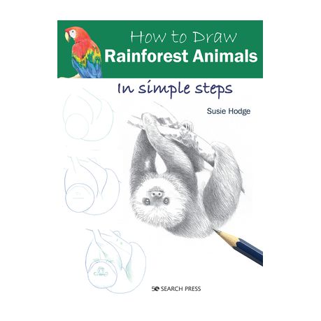 Simple Rainforest Drawings