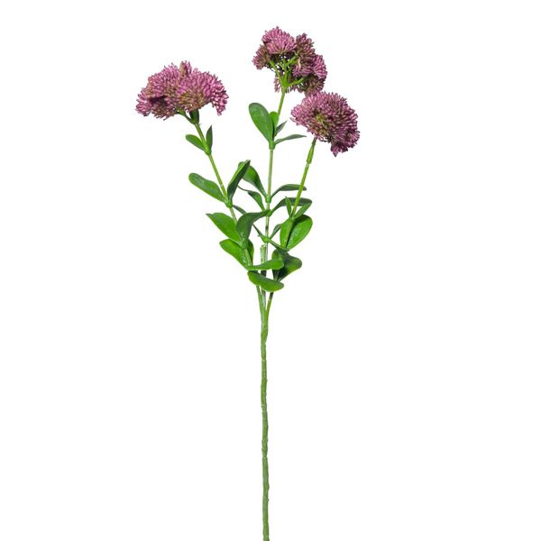 Toolhome Blossoms - Sedum - Purple - 56cm