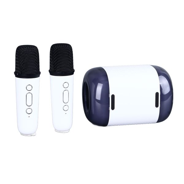 BT Speaker, Dual Mics, RGB, KTV