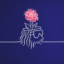 Simple Mind (Vinyl / 12" Album)