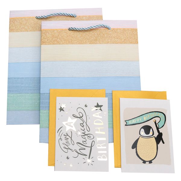 Celebration Card and Gift Bags - Moody Sparkles Sensory