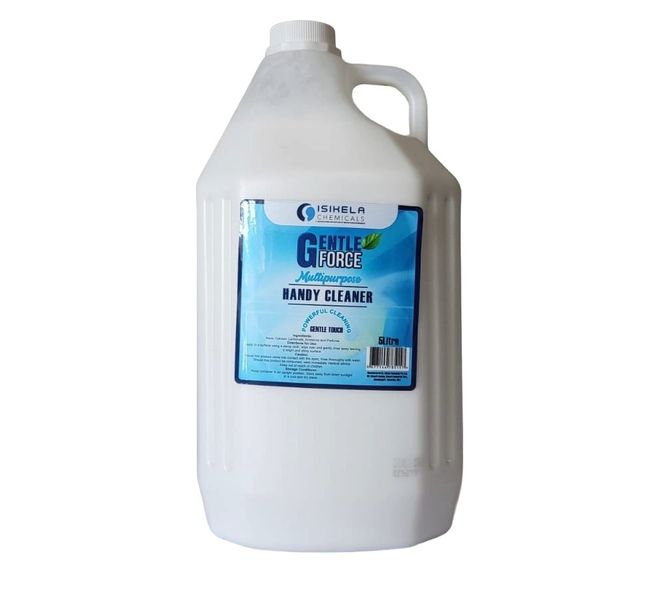 5L Gentle Force Handy Cleaner