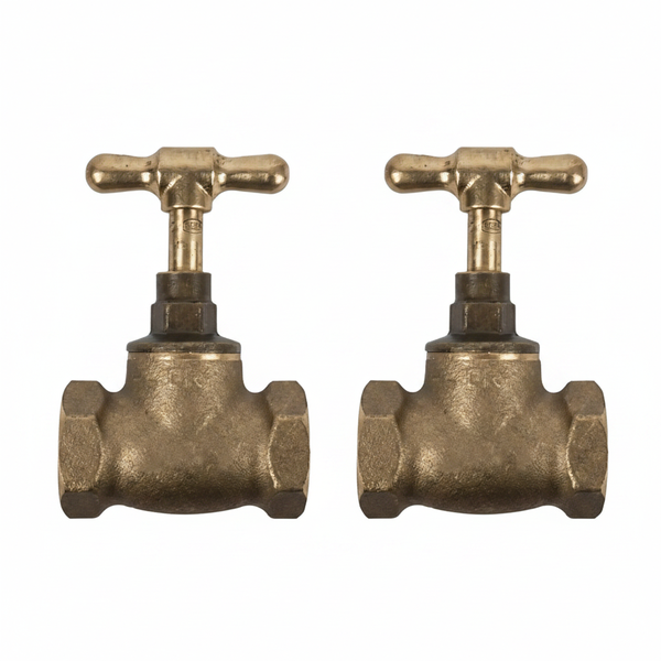 Torrenti 20mm Brass Gate Valve with Male/Female Threads - 2 Pack