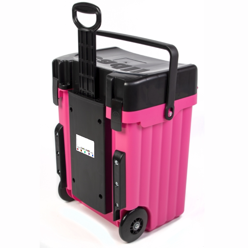 Cadii Bag - CSB-3322 - Pink Body and Black Trim with Dividers and ...