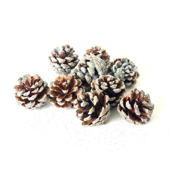 2 X Artificial Pine Cones 9 p/pkt Silver