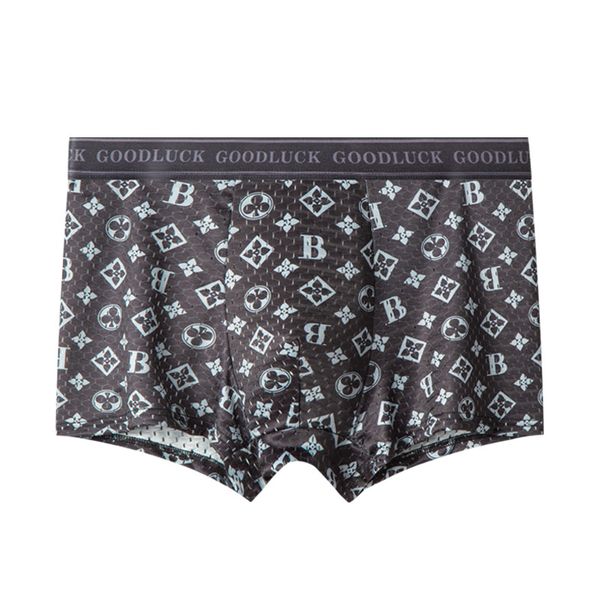 Boxers For Men - Ice Silk Pack of 4