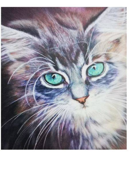Diamond Painting - Blue Eyed Cat - 30cm x 40cm