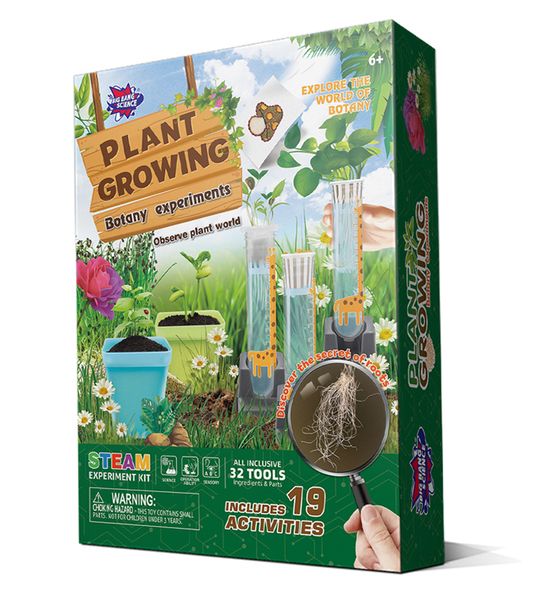Plant Growth Garden Start Craft Kit