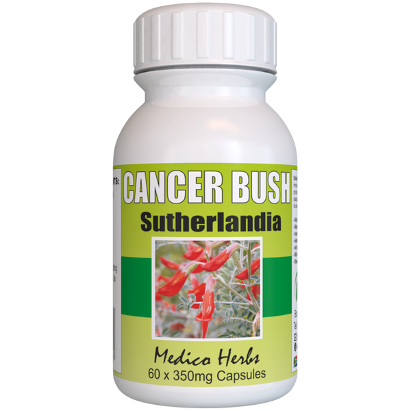 Cancer Bush Capsules 60 x 350mg