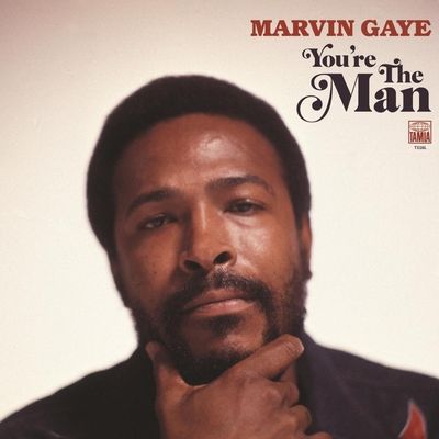 You're the Man (Vinyl / 12" Album)