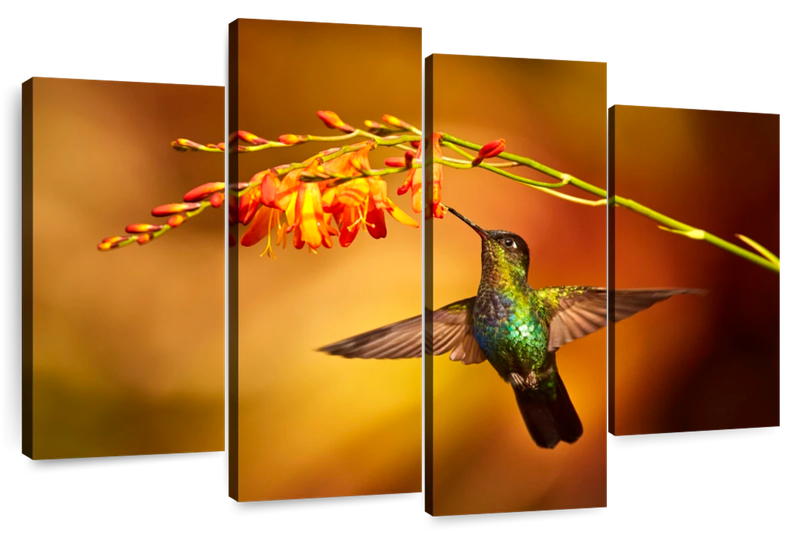 Canvas Art - Fly Humming Bird 4 Piece Canvas Wall Art For Living Bedroom