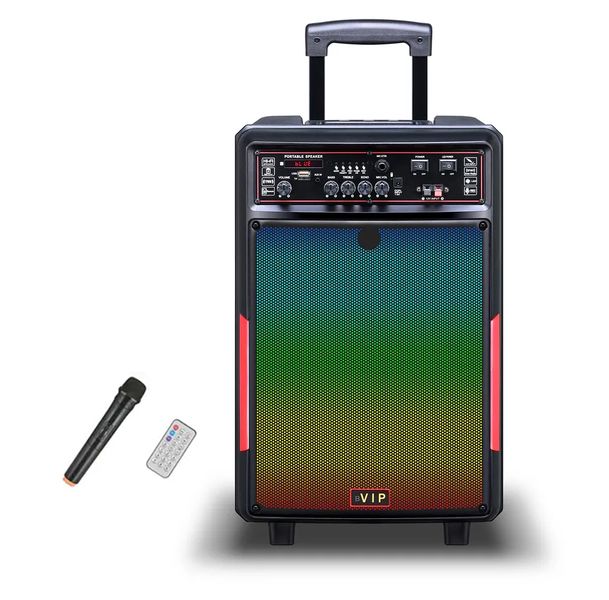 12 Inch Wireless Portable Speaker with RGB LIghts &amp; Microphone JT1228