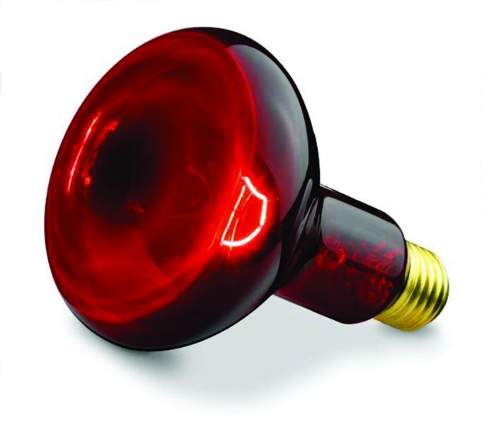 Heat Lamp 100w Glass E27 Red