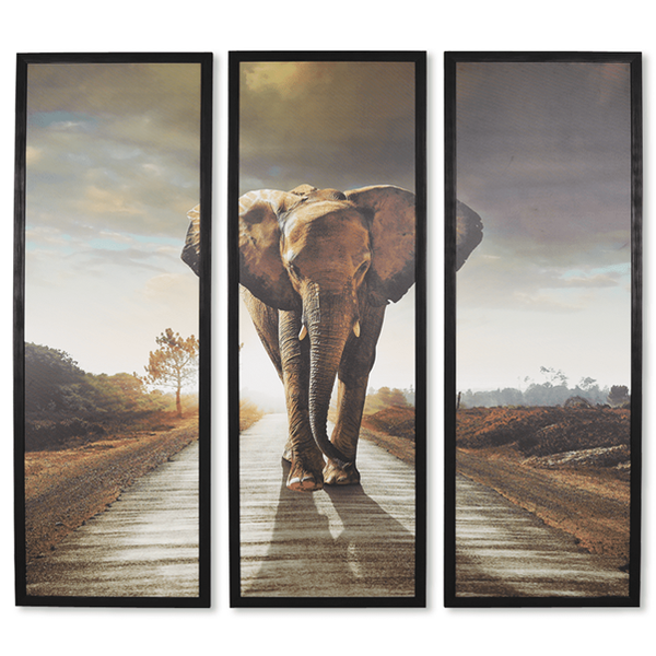 African Elephant 3 Piece