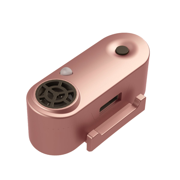 Tickless Mini Dog Rosegold