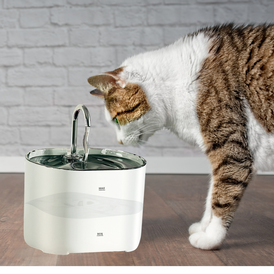 AICOM - 2.2L Pet Water Dispenser Fountain with Stainless Steel Tap