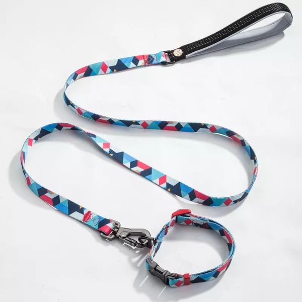 Blue Candy Dog Collar and Leash
