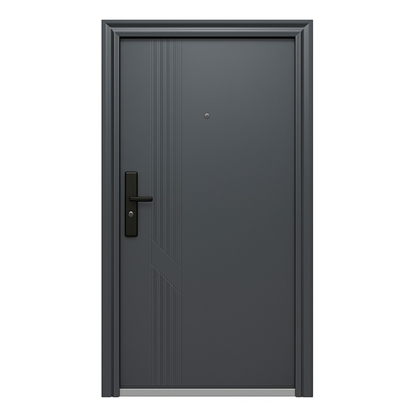 ZYS Modern Steel Security Door with Frame