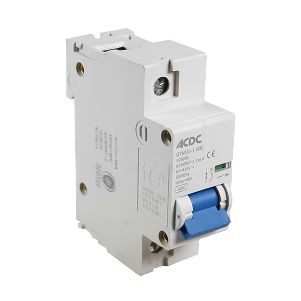 Din Circuit Breaker 1 Pole C-Curve 6KA 80A