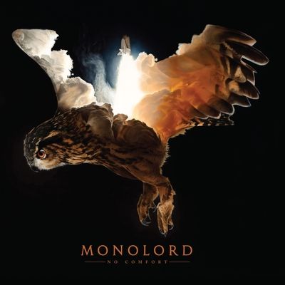 No Comfort (Vinyl / 12" Album)