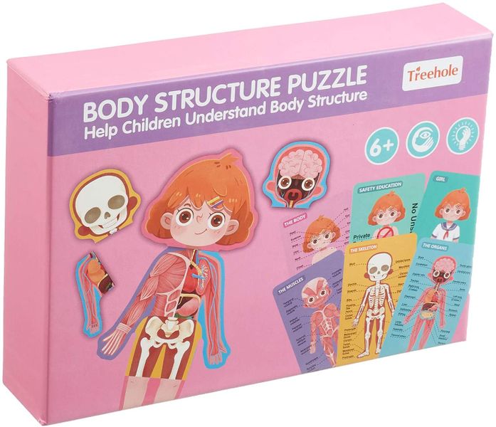 Body Structure Puzzle - Girl
