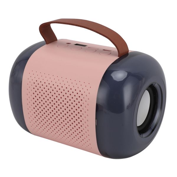 Karaoke Machine, 2 Mics, BT5.3, Pink