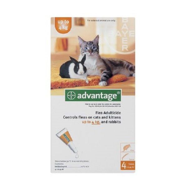 Advantage Small Cats 4x0.4ml (0-4kg) Orange