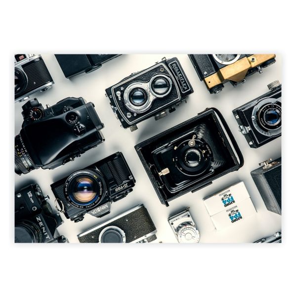 Assorted Black and Gray Cameras - A1 Poster
