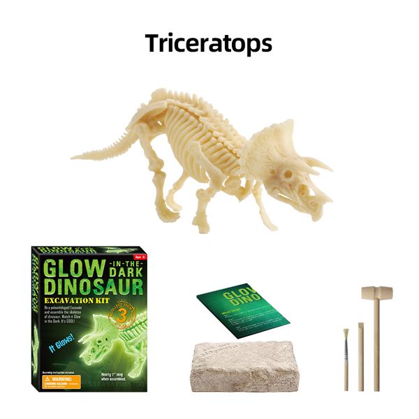 Triceratops Skeleton image