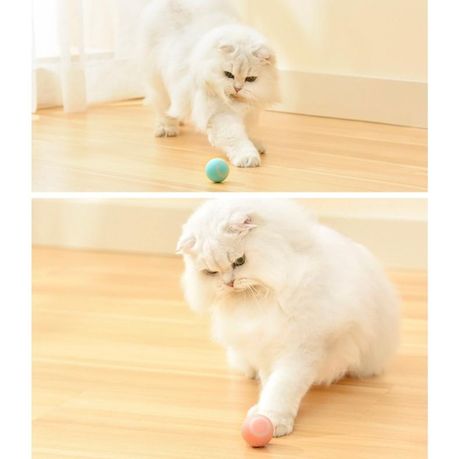 Smart ball best sale for cats