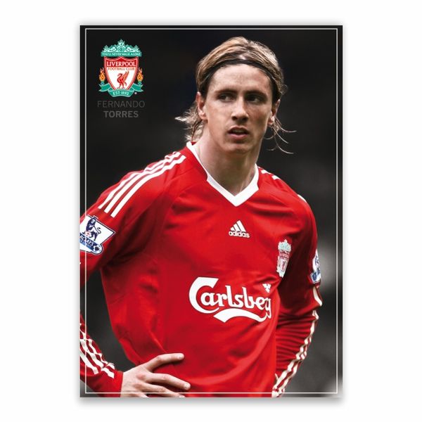 Fernando Torres Poster - A1