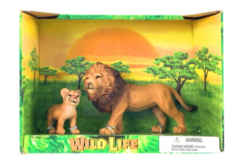 2 Piece Lion in Open Box