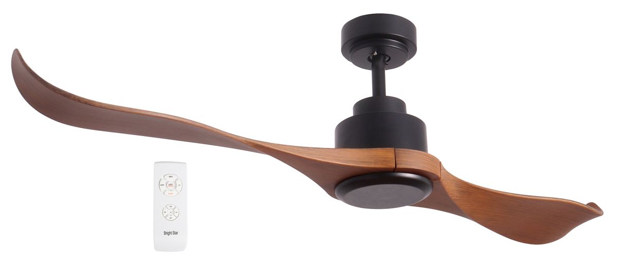 2 Blade Modern Ceiling Fan with Remote, No Light - FCF081 Matt Black