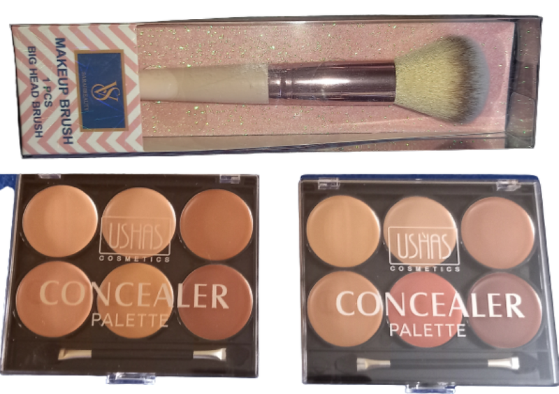 Concealer palette and brush set combo